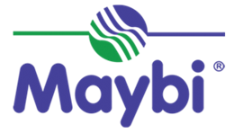 Maybi